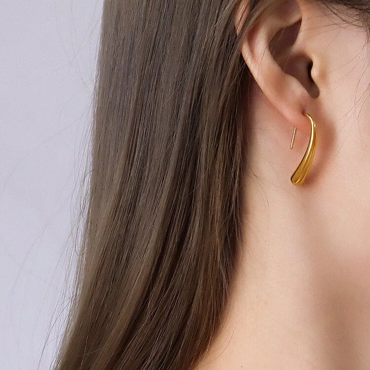 Drop Earrings